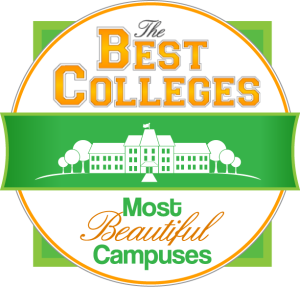 best colleges in the south