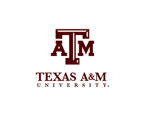 Texas A & M University - Top 50 Accelerated MBA Online Programs 2020
