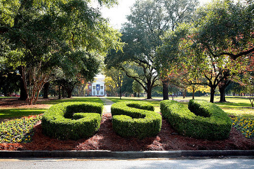 Georgia Southern University - Online MBA Degree Programs