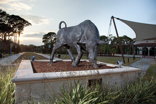 University of South Florida - 50 Most Affordable Online Graduate Education