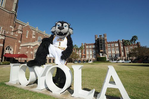 Loyola - 50 Most Affordable RN to MSN Online Programs