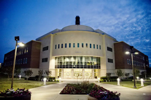 Texas A&M - Online Master’s in Early Childhood Education Degree