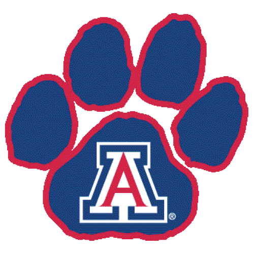 University of Arizona - 50 Best Disability Friendly Online Colleges or Universities for Students with ADHD