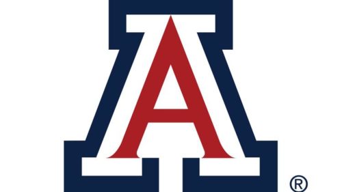 University of Arizona - 50 Most Affordable Part-Time MSN Online Programs 2019
