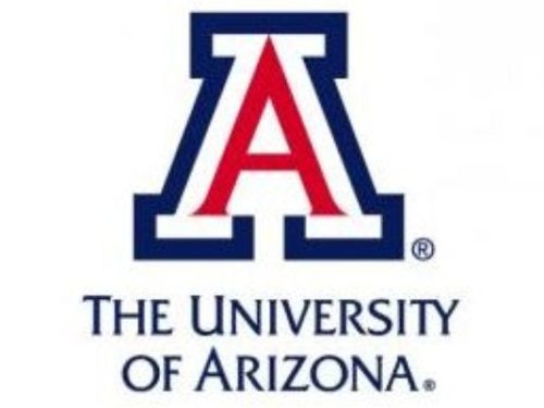 University of Arizona - Top 20 Most Affordable MSN in Clinical Nurse Leader Online Programs 2019
