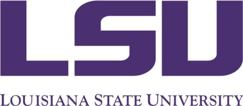 Louisiana State University - Top 50 Accelerated MBA Online Programs 2020
